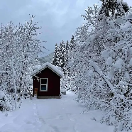 Cozy Tiny Home Steps Away From Mt. Rainier Ashford Exterior foto
