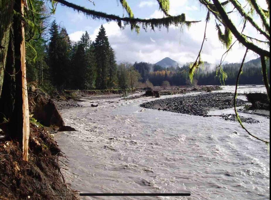 Cozy Tiny Steps Away From Mt. Rainier Ferienhaus *