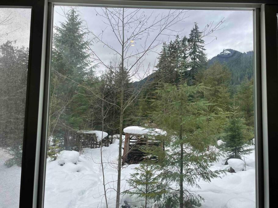 Cozy Tiny Steps Away From Mt. Rainier Ferienhaus